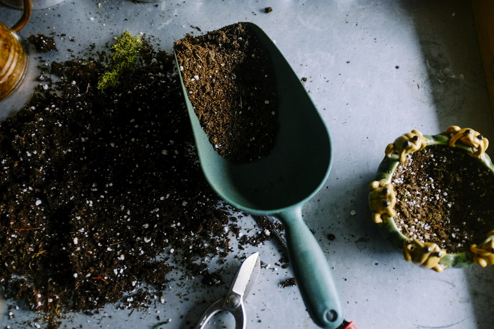 Beispielbild: Pflanzen und Gartenarbeit